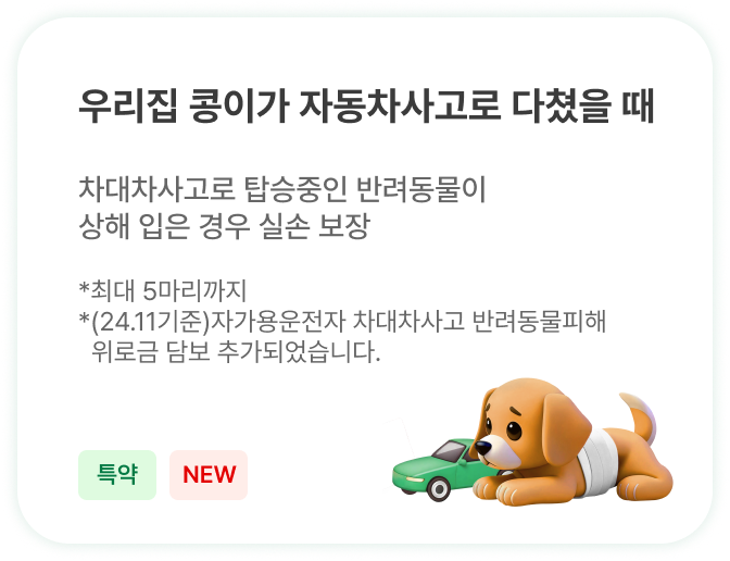 하단내용 참조