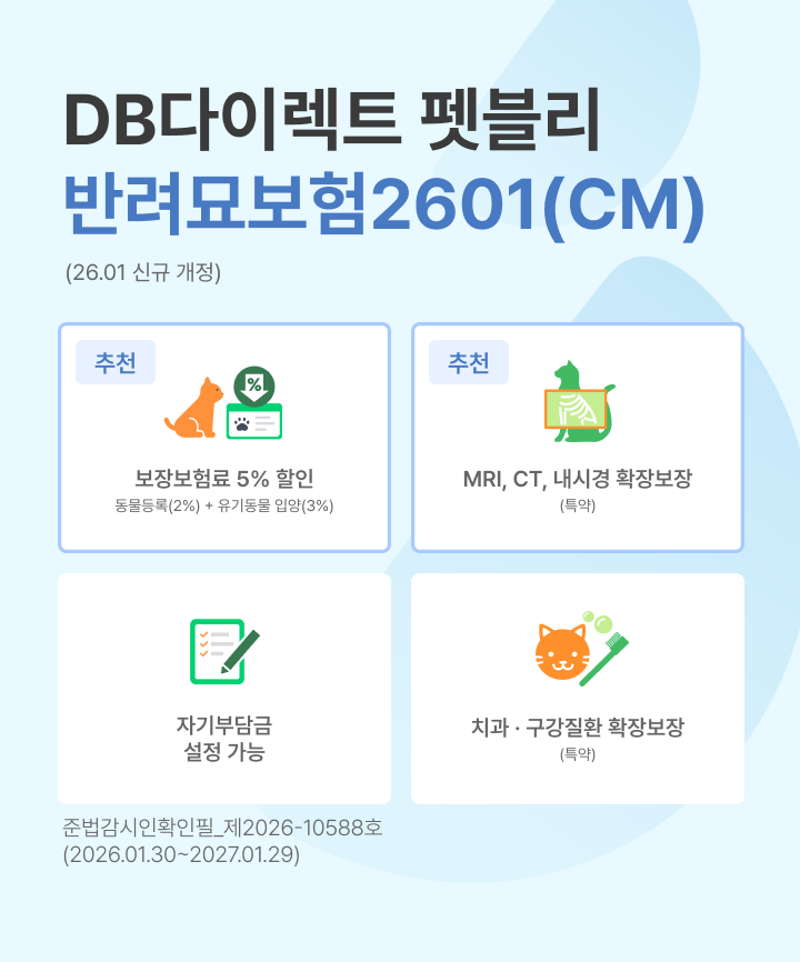DB다이렉트 펫블리 반려묘보험2601(CM)
