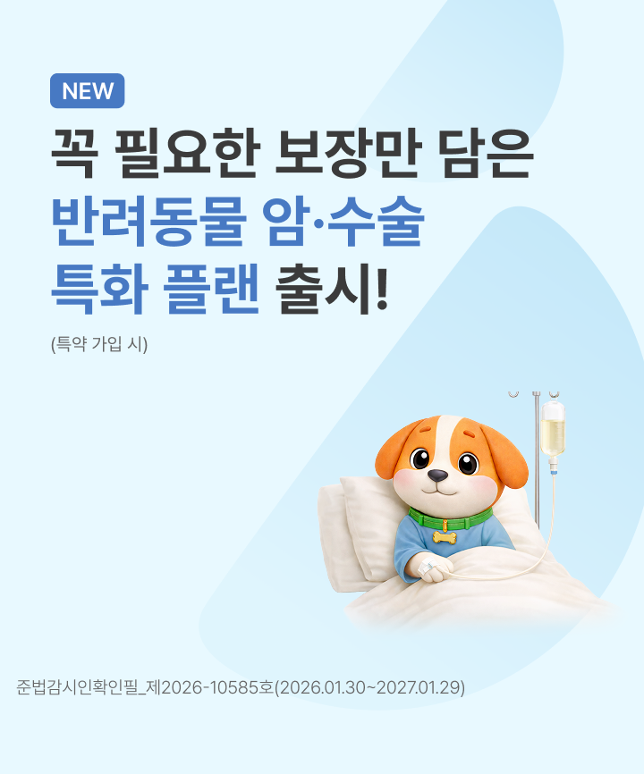 꼭 필요한 보장만 담은 반려동물 암&middot;수술 특화 플랜 출시!!