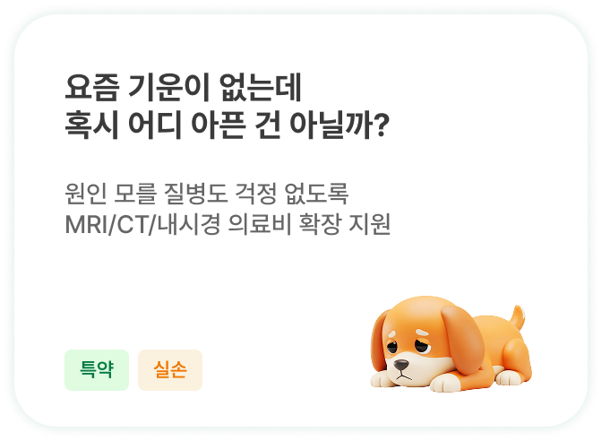 하단내용 참조