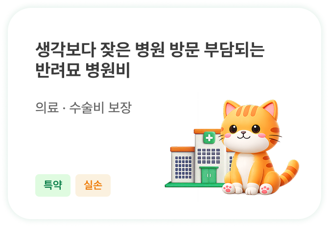 하단내용 참조