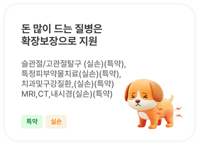 하단내용 참조